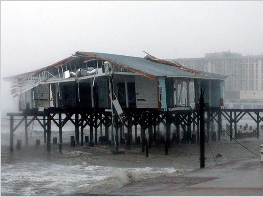 Wind Damage on Beach