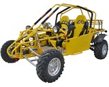 1000cc Buggy